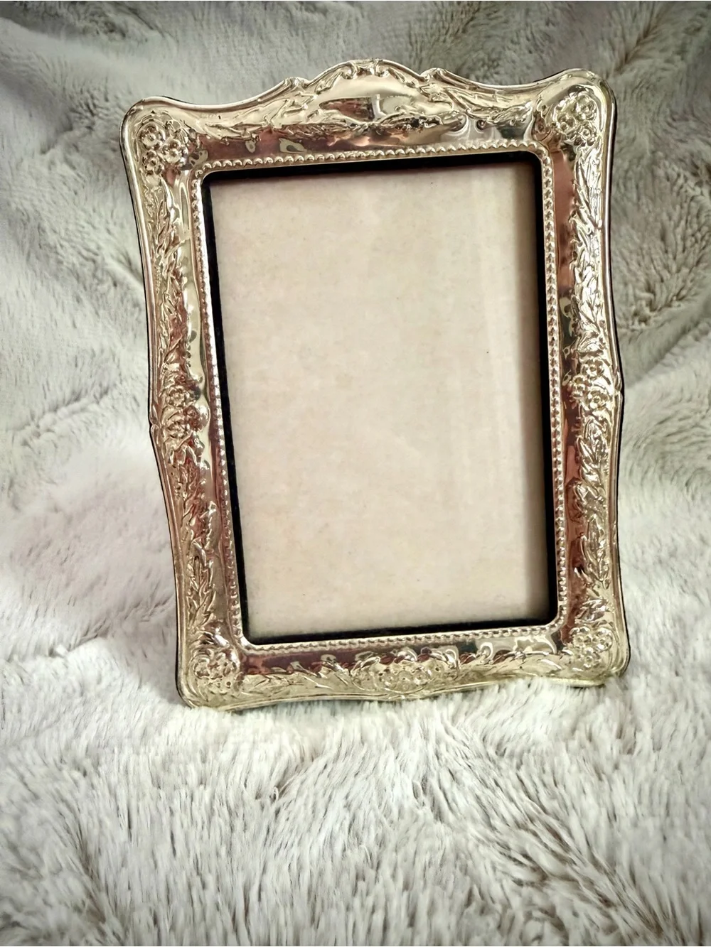 Fetco Silver Plated Brass Ornate Embossed Picture Frame 3.5x5”
